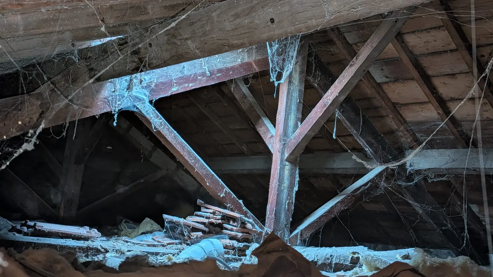 La charpente de toiture dans les combles : la ferme prend appui au droit de la future baie.